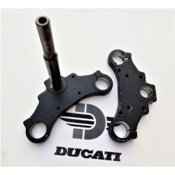 Tijas Telesco NUEVAS Ducati...